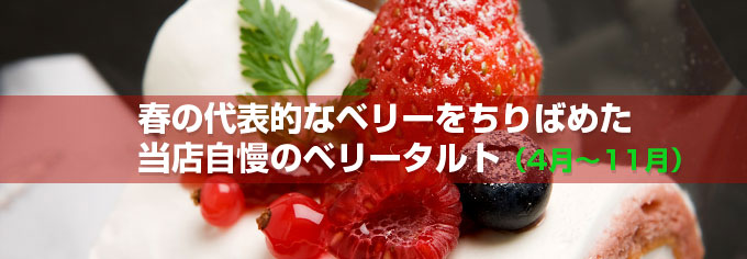 Css Template Preview